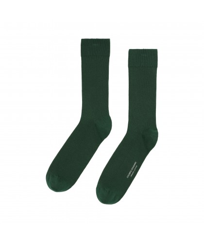 Emerald Green Organic Socks...