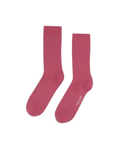 Chaussettes Coton Bio Raspberry Pink COLORFUL STANDARD