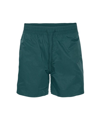 Ocean Green Swim Shorts...