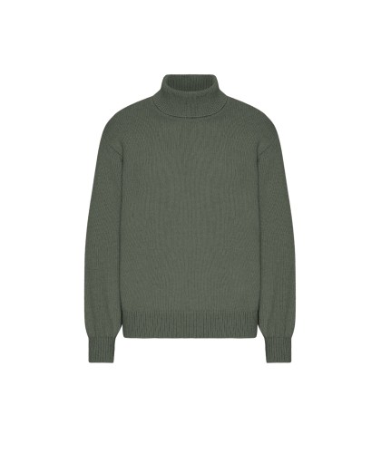 Pull Col Roulé Merino Dusty...