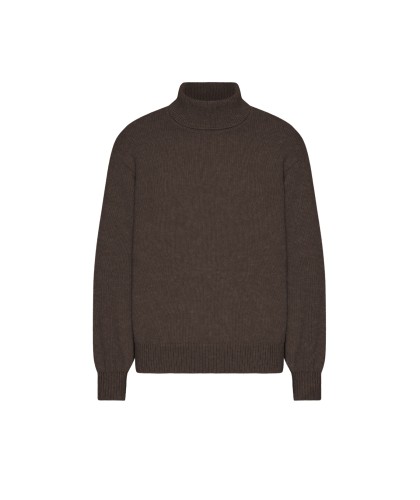 Pull Col Roulé Merino...